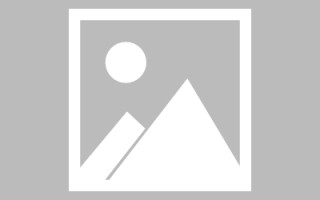 新泰玉兔网站制作头像app（玉兔素材抠图）